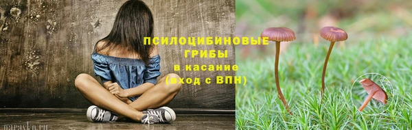 дмт Абаза