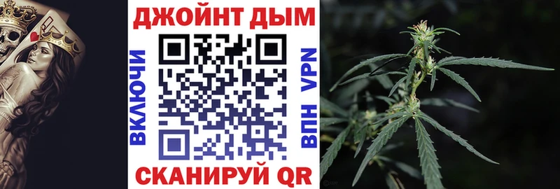 Конопля индика  Чекалин 